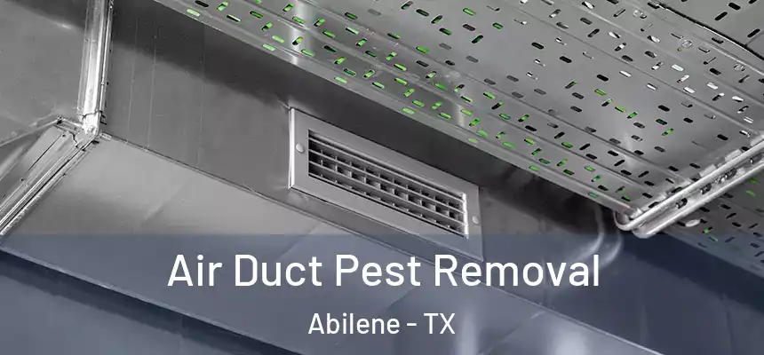 Air Duct Pest Removal Abilene - TX