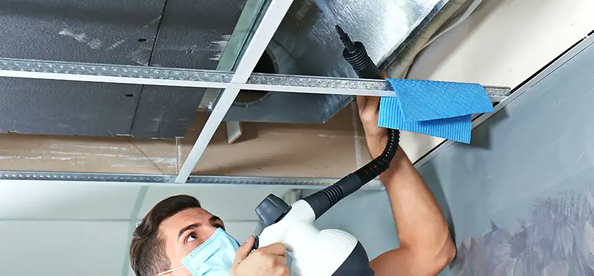 Our Air Duct Rodent Removal Services in Abilene, TX