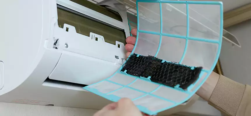 Gentle Ductwork Odor-Control Pet Dander Duct Cleaning in Abilene, TX