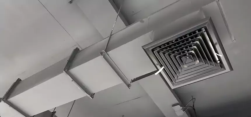 Our Rodent Droppings In Vents Services in Abilene, TX