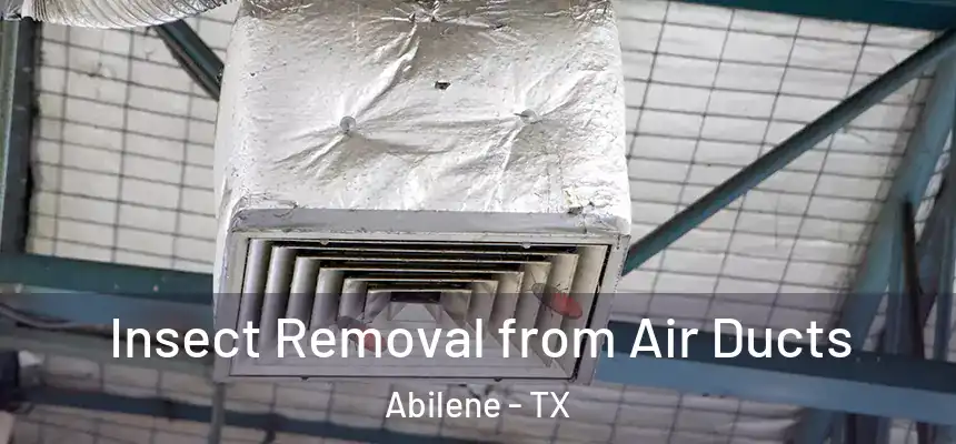 Insect Removal from Air Ducts Abilene - TX