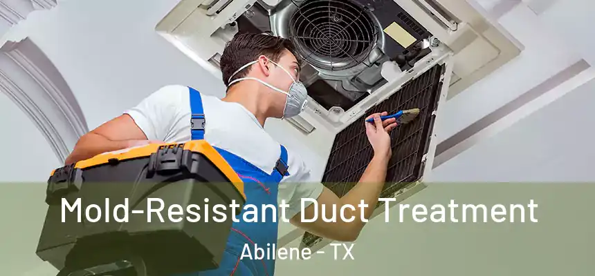 Mold-Resistant Duct Treatment Abilene - TX