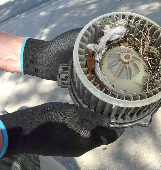 About Air Duct Rat Removal in Abilene, TX