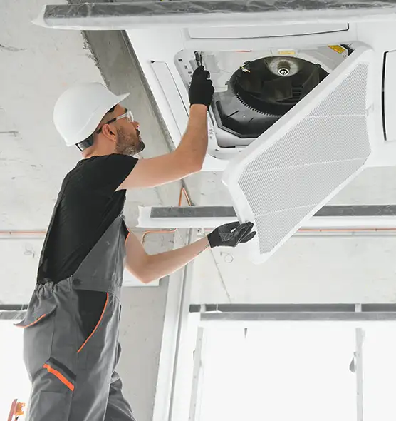 About Air Duct Rodent Removal in Abilene, TX