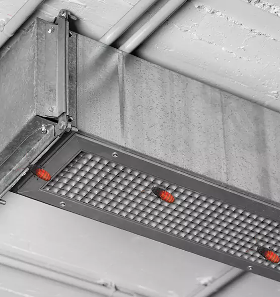 Affordable Insect Removal from Air Ducts in Abilene, TX