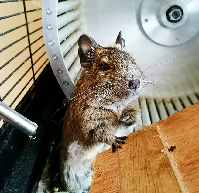 Why Homeowners & Businesses Trust Us Abilene, TX