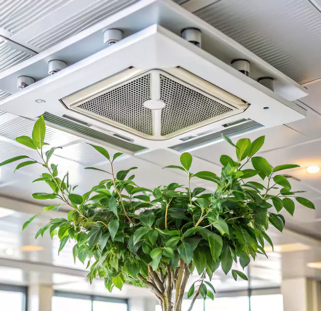 Why Homeowners & Businesses Trust Us in Abilene, TX?